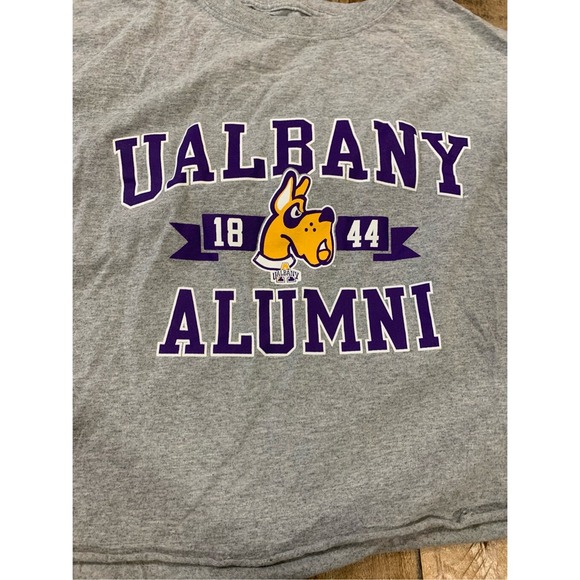 UNIV of ALBANY Alumni 1844 Mascot Cropped Tee-Shirt Grey Purple, XL - Picture 2 of 5